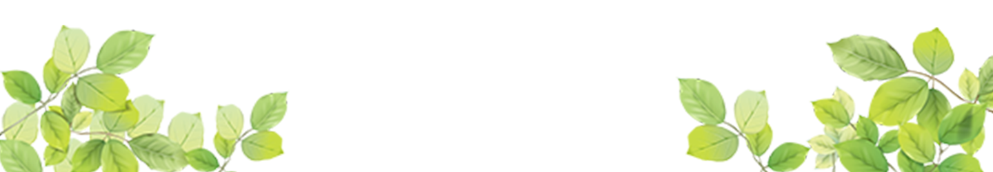 Zweige mit Buchenblättern